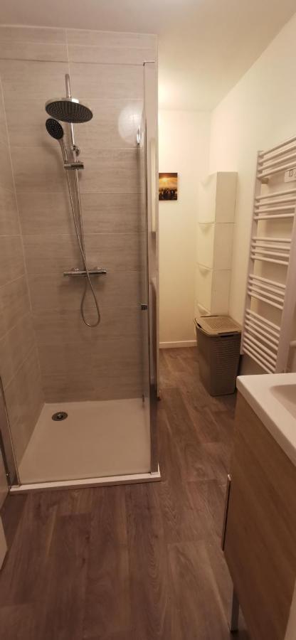 Appartement Cosy Proche Du Centre Ville De Macon H Екстер'єр фото